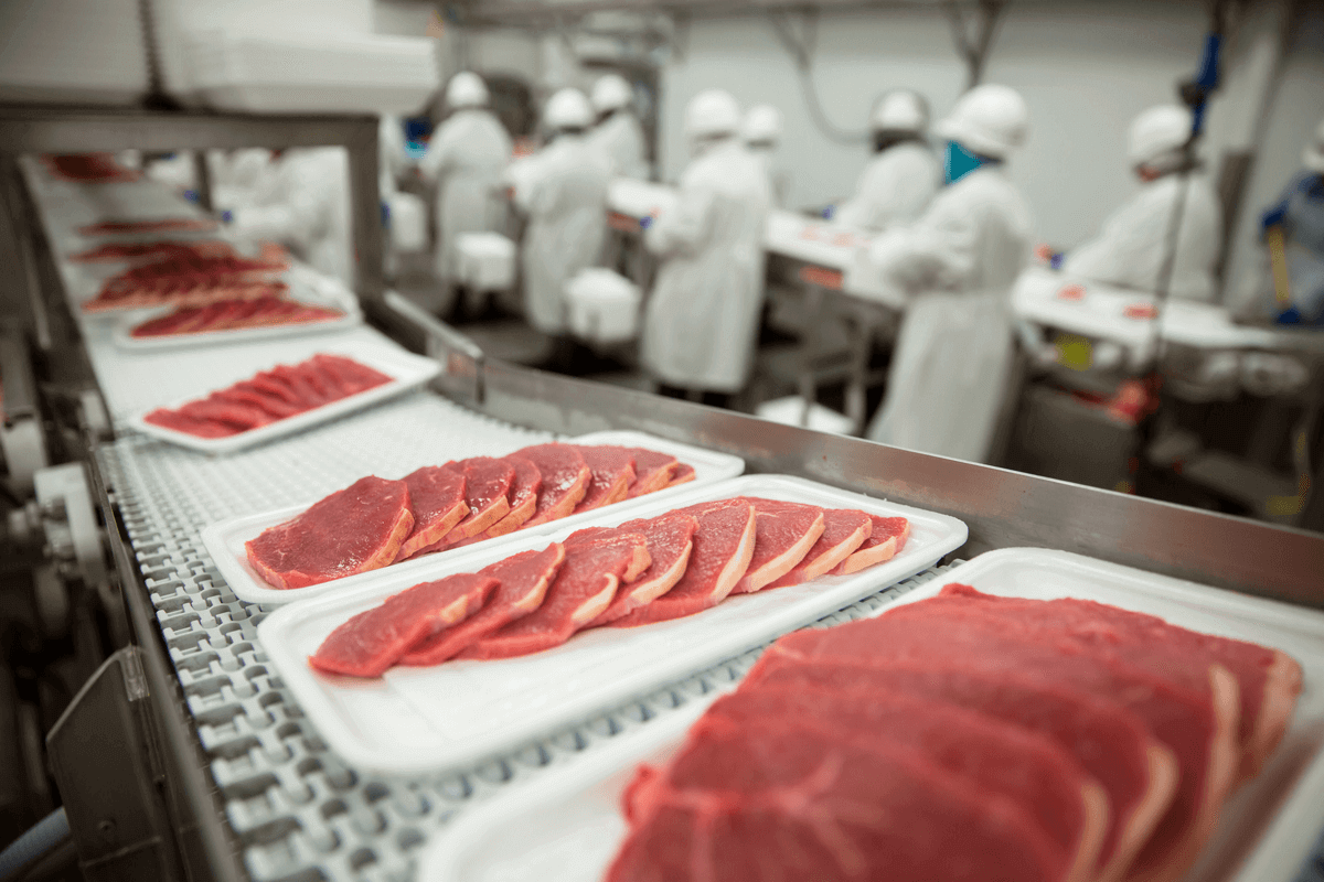 Ensuring Food Safety How Food Handlers Can Effectively Reduce Bacteria